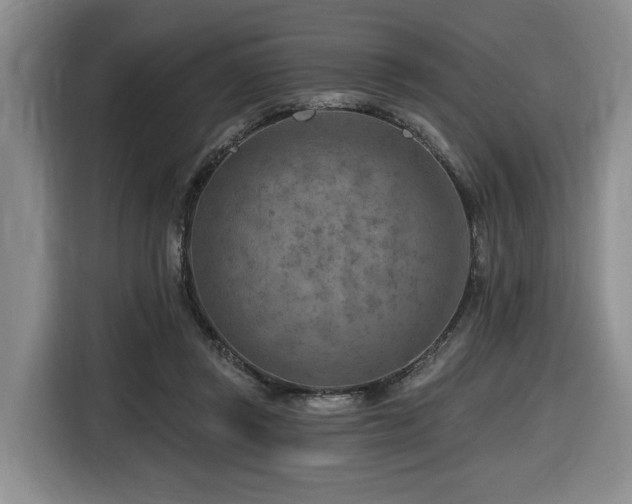 X0000116670357200912141345