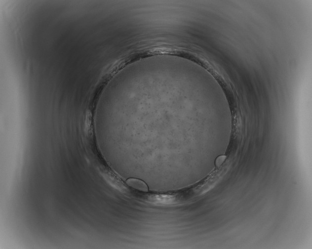 X0000116670361200912141345