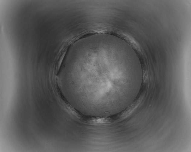 X0000116670365200912141345