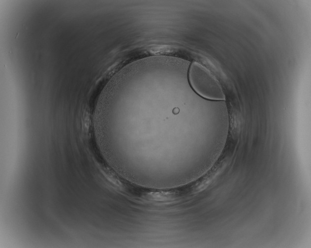 X0000116670367200912141345