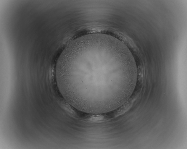 X0000116670369200912141345