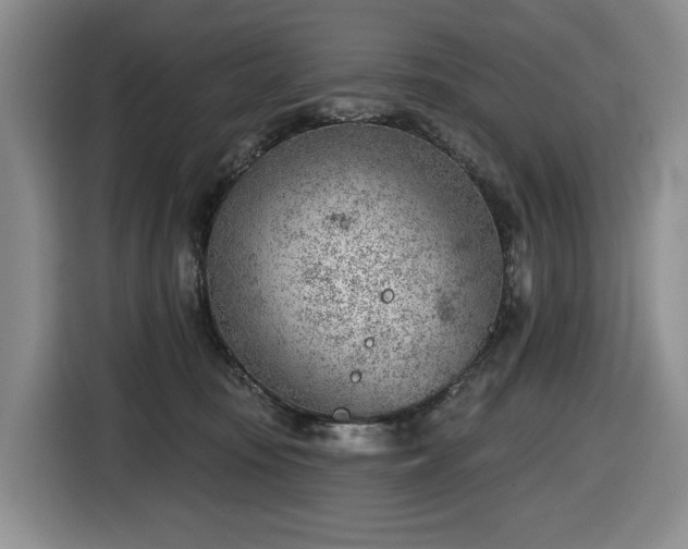 X0000116670371200912141345