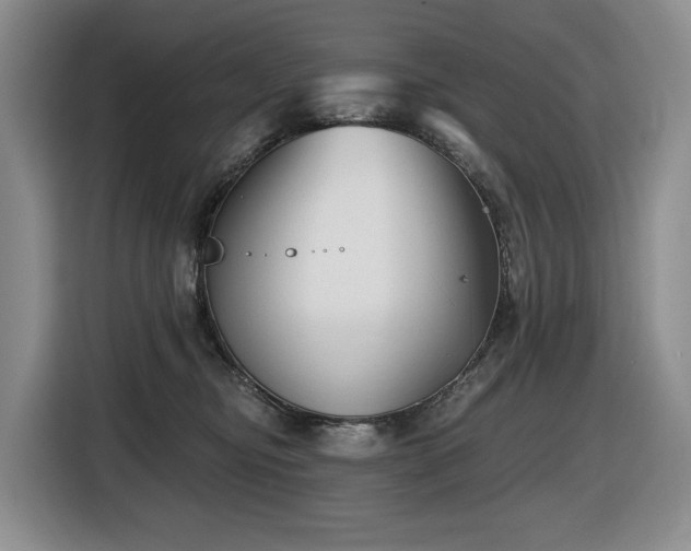 X0000116670374200912141345