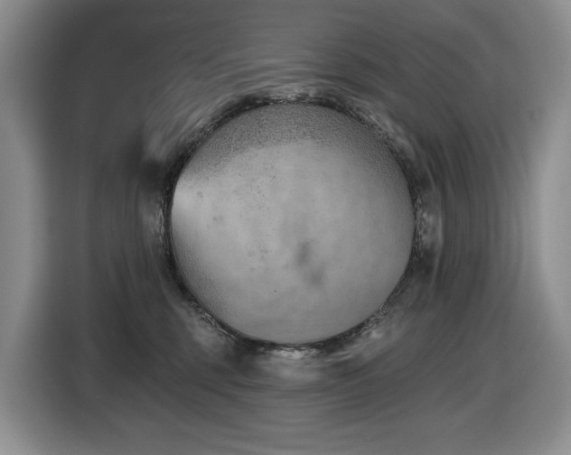 X0000116670375200912141345