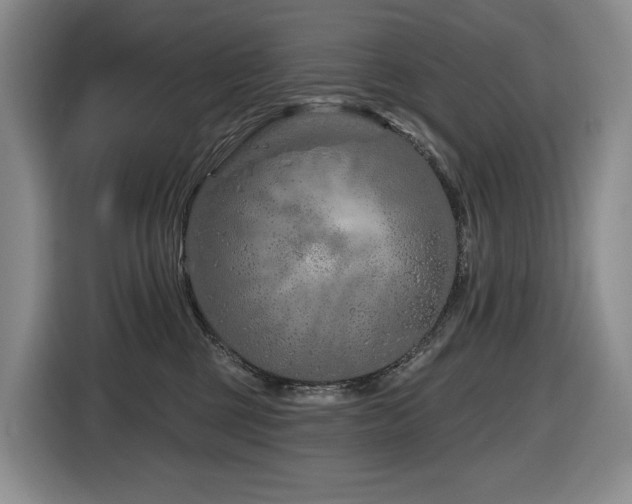 X0000116670377200912141345