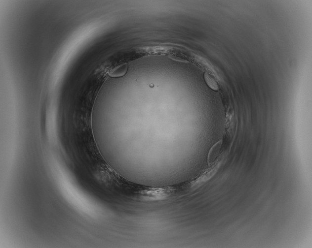 X0000116670381200912141345