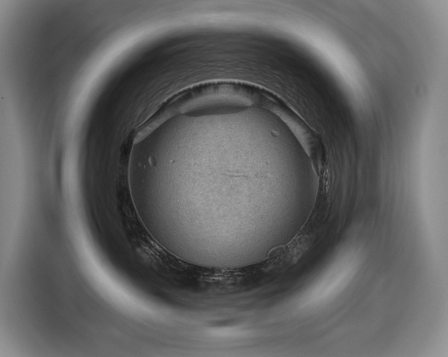 X0000116670383200912141345