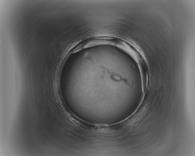 X0000116670385200912141345