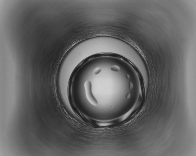 X0000116670386200912141345