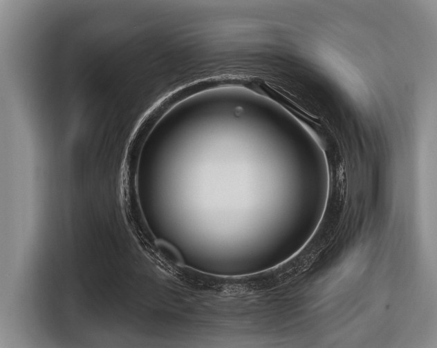 X0000116670388200912141345