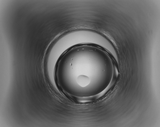 X0000116670395200912141345