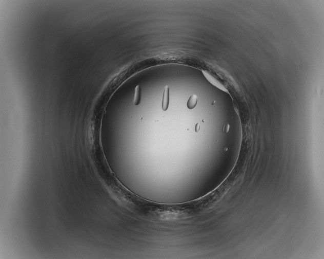 X0000116670400200912141344