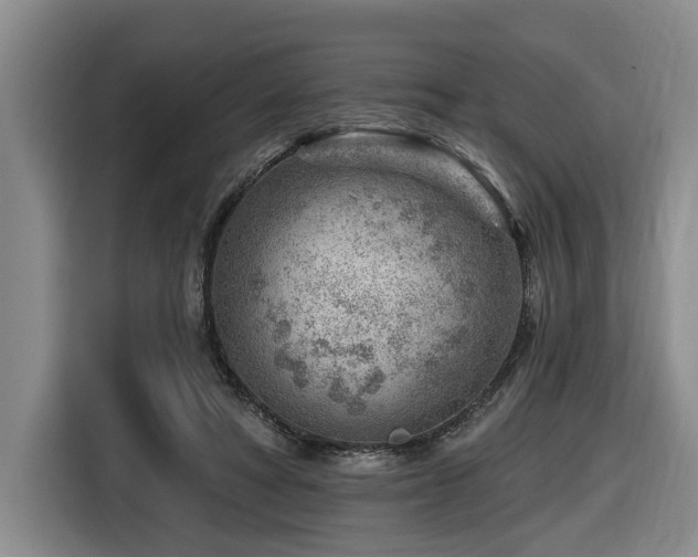 X0000116670402200912141344