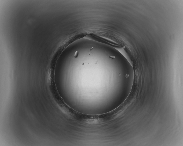 X0000116670404200912141344