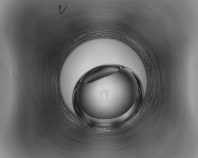 X0000116670409200912141344