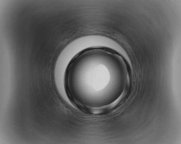 X0000116670415200912141344