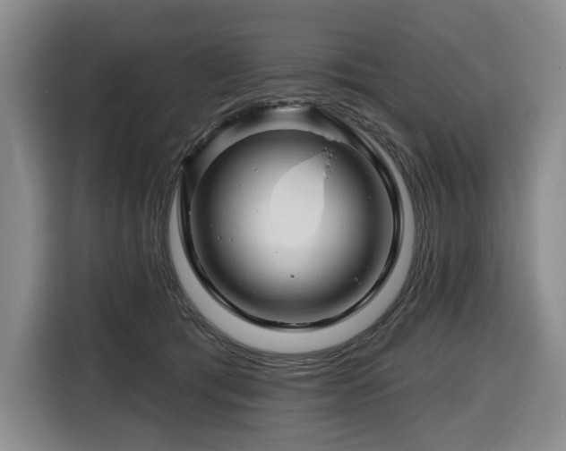 X0000116670417200912141344