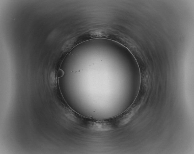 X0000116670420200912141344