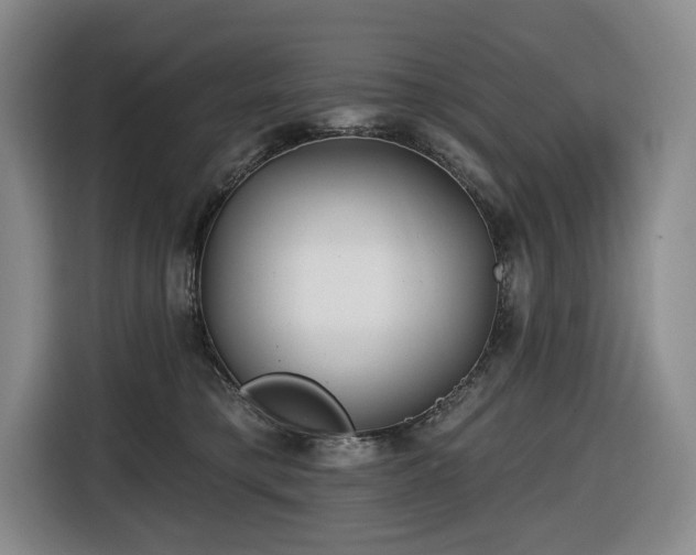 X0000116670421200912141344