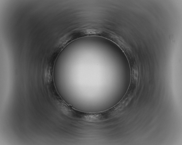 X0000116670422200912141344