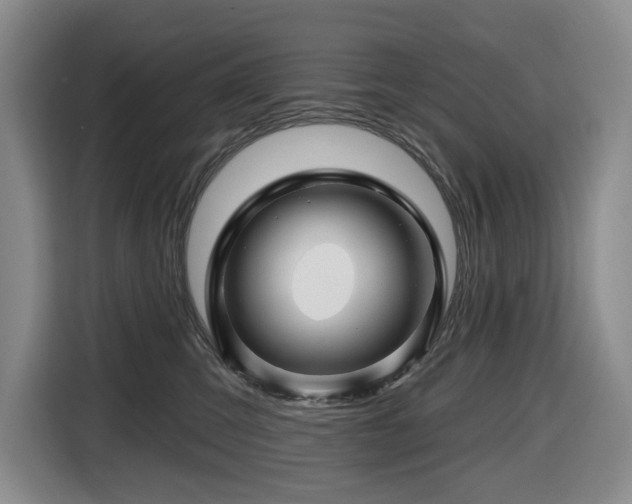 X0000116670423200912141344