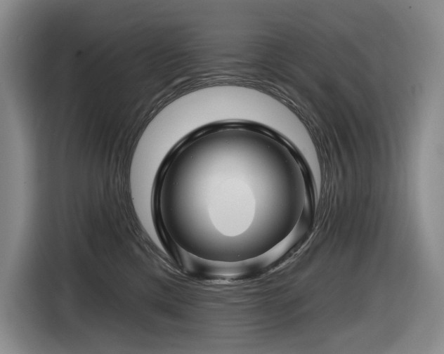 X0000116670425200912141344