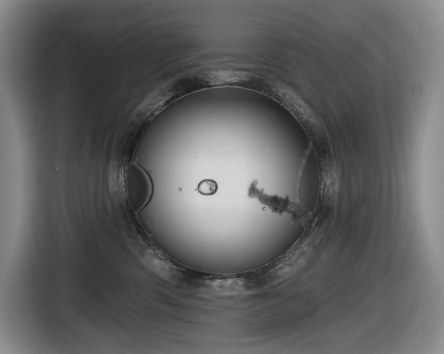 X0000116670426200912141344