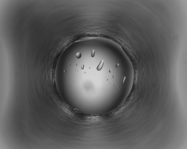 X0000116670428200912141344