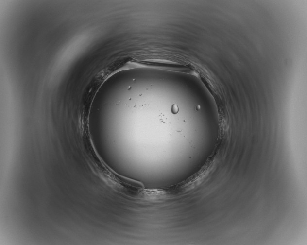 X0000116670429200912141344