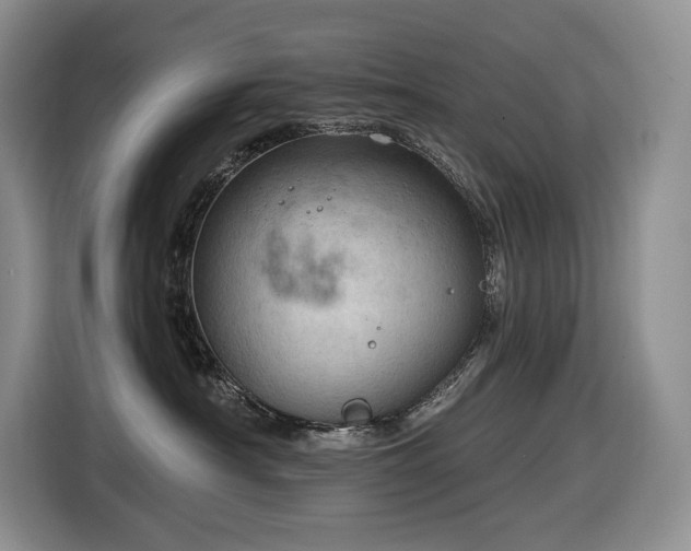 X0000116670430200912141344