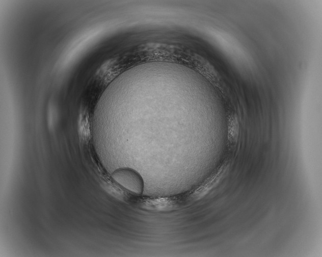 X0000116670431200912141344