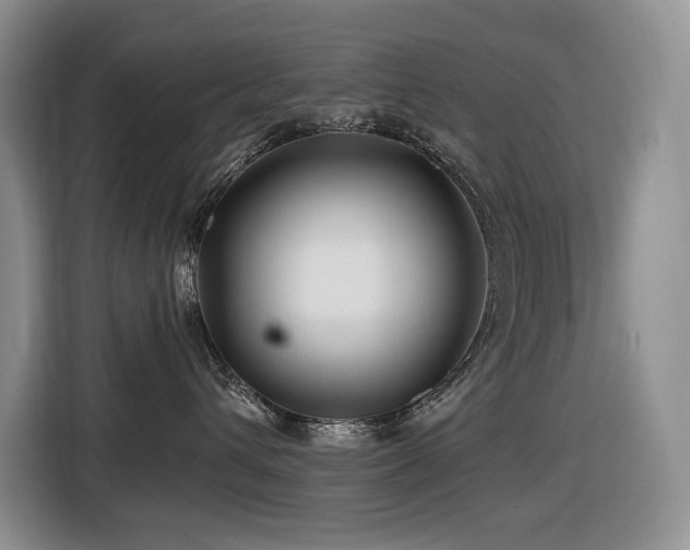 X0000116670432200912141344