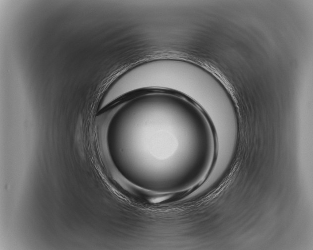 X0000116670433200912141343