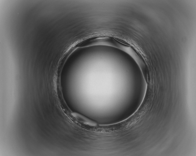 X0000116670434200912141343