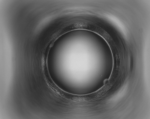 X0000116670435200912141343