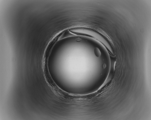 X0000116670436200912141343