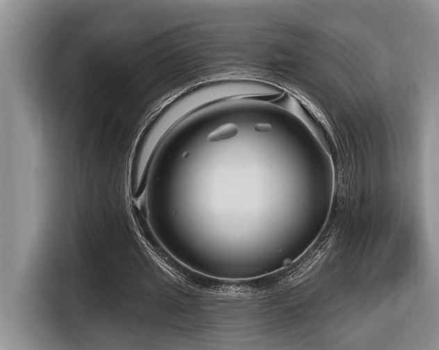 X0000116670437200912141344