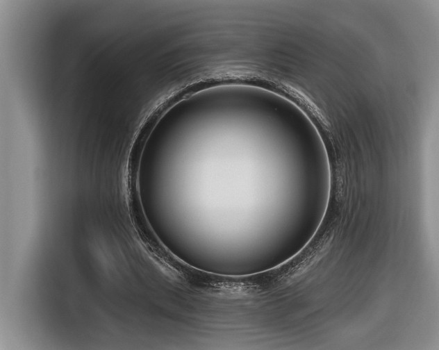 X0000116670439200912141344