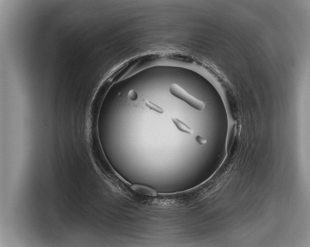 X0000116670440200912141344