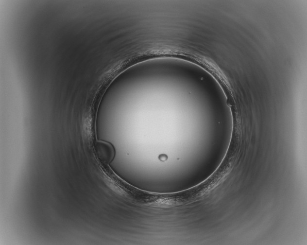 X0000116670441200912141344