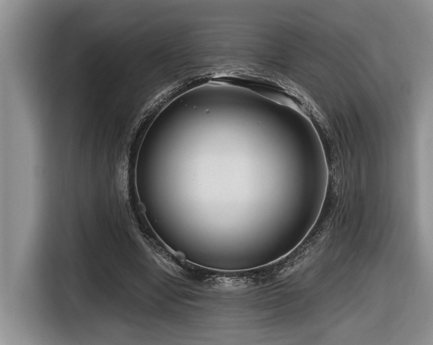 X0000116670442200912141344