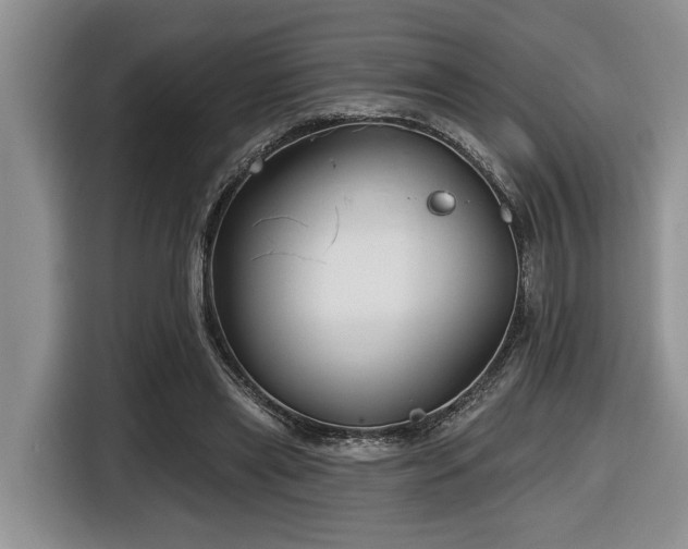 X0000116670445200912141344