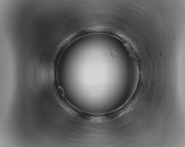 X0000116670446200912141344