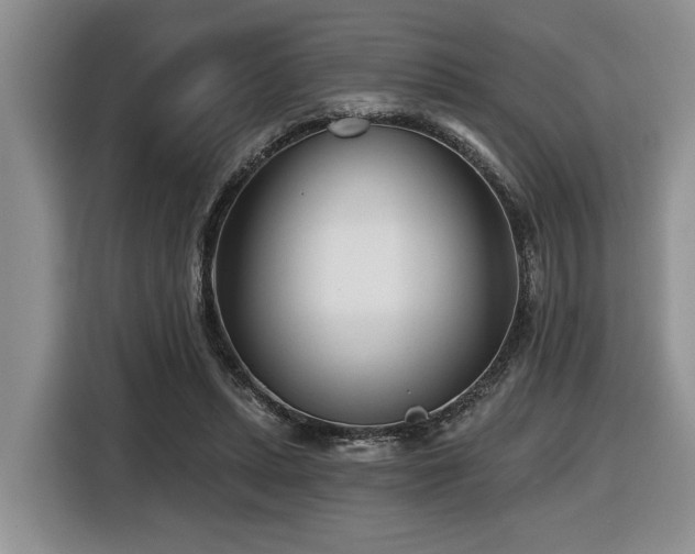 X0000116670447200912141344