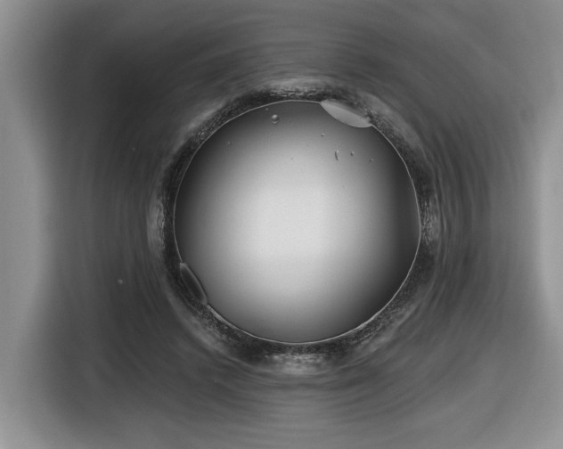 X0000116670448200912141344