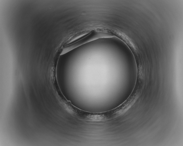 X0000116670449200912141344