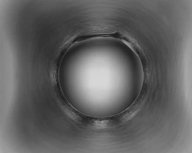 X0000116670450200912141344