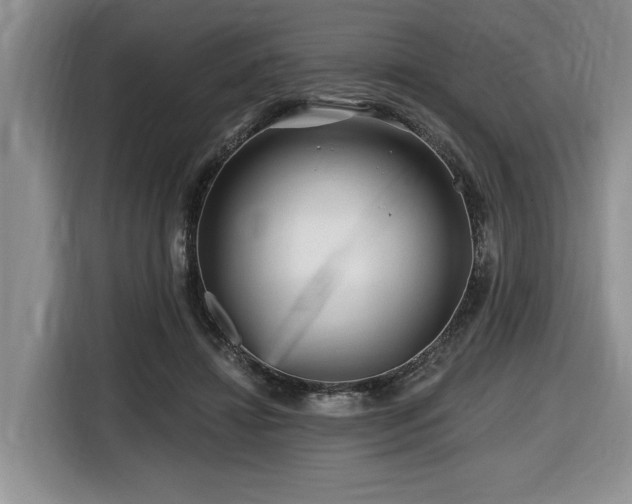 X0000116670452200912141344