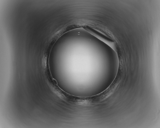 X0000116670454200912141344