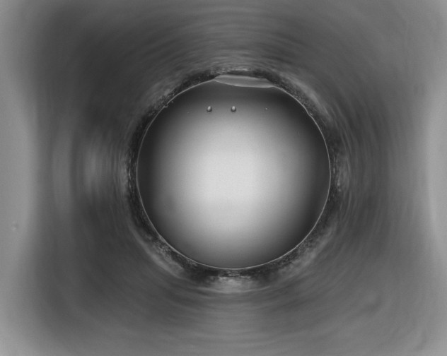 X0000116670455200912141344